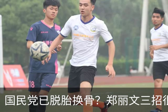 国民党已脱胎换骨？郑丽文三招很高明，两员大将联手下架民进党？