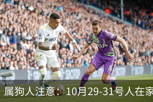 属狗人注意：10月29-31号人在家中坐，事从天上来！福或祸自己看
